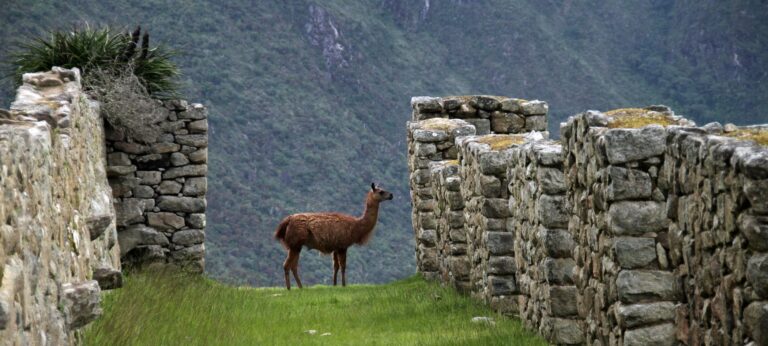 Beste Reisezeit für Peru: Klima, Wetter und Tipps