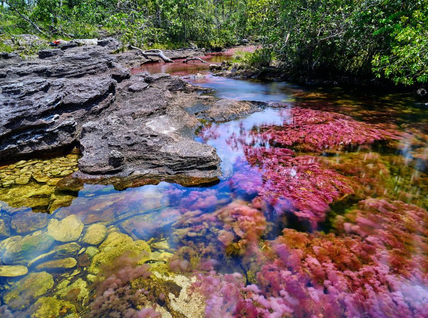 Cano Cristales