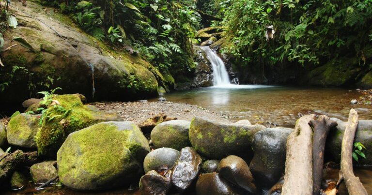 Mindo, Ecuador – Die 8 besten Aktivitäten & Tipps