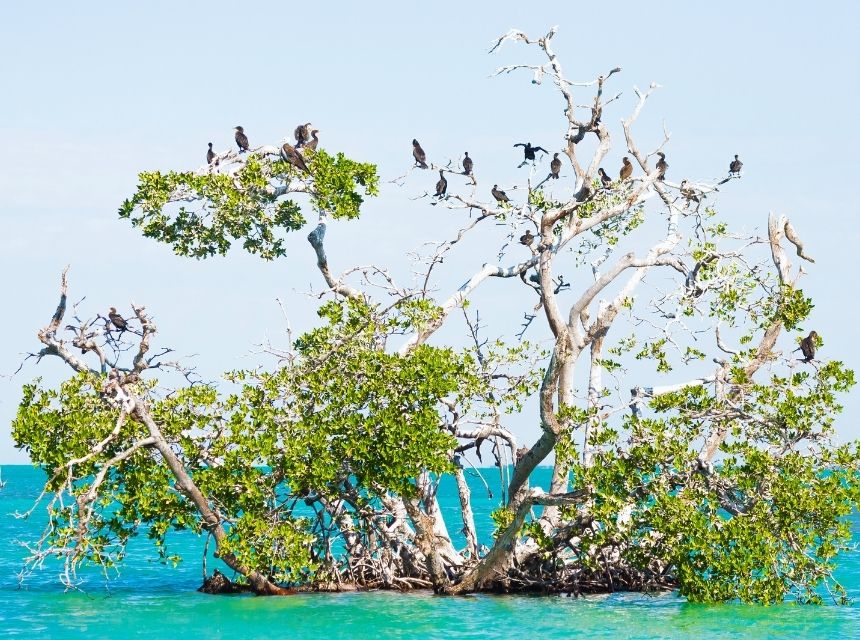 Yucatan Rundreise Sian Kaan