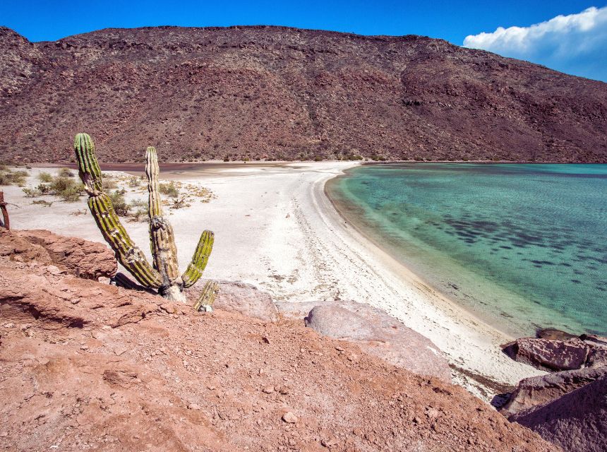 La Paz Mexico 1