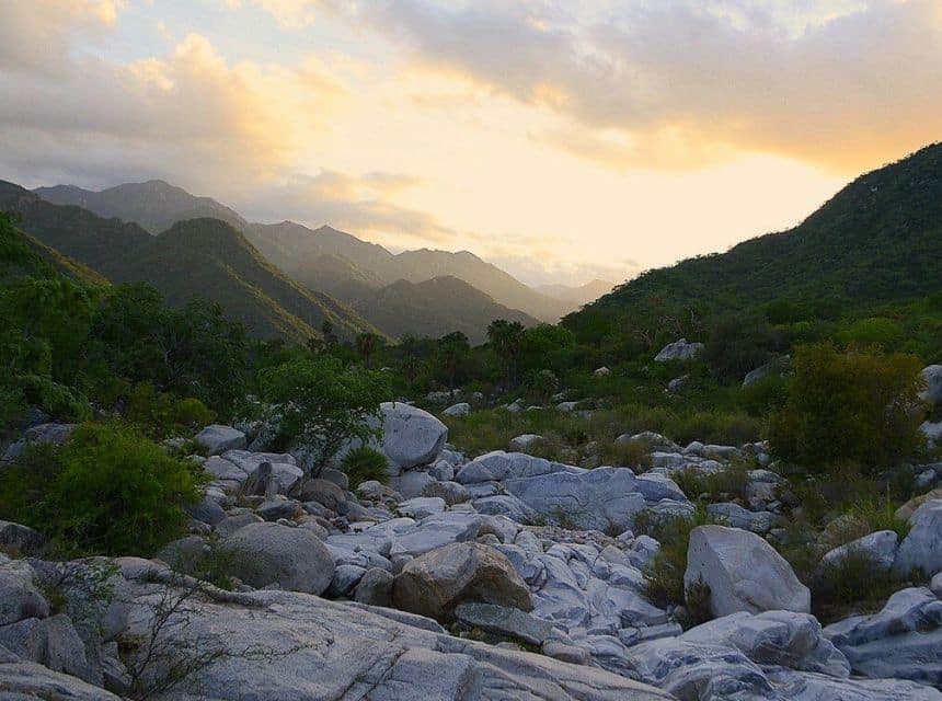 Baja California Sehenswürdigkeiten - Sierra de la Laguna