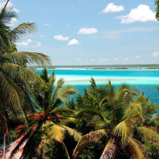 Bacalar Banner 1