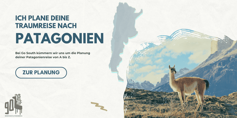 Go South Banner Patagonien 1