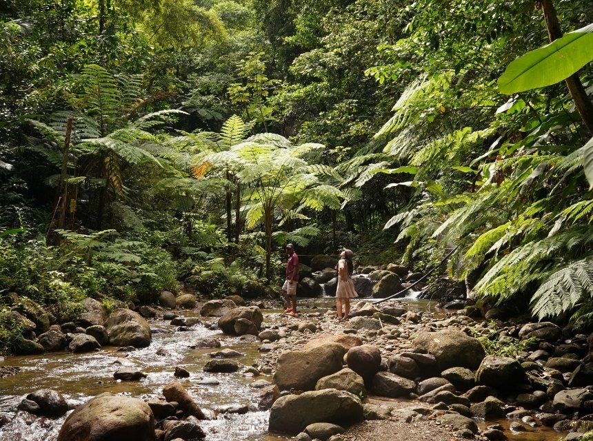 Die 20 besten Dominica Sehenswürdigkeiten: Dein ultimativer Guide für die Naturinsel 1 10