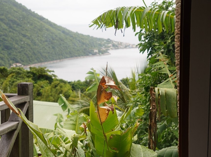 Die 20 besten Dominica Sehenswürdigkeiten: Dein ultimativer Guide für die Naturinsel 15 7