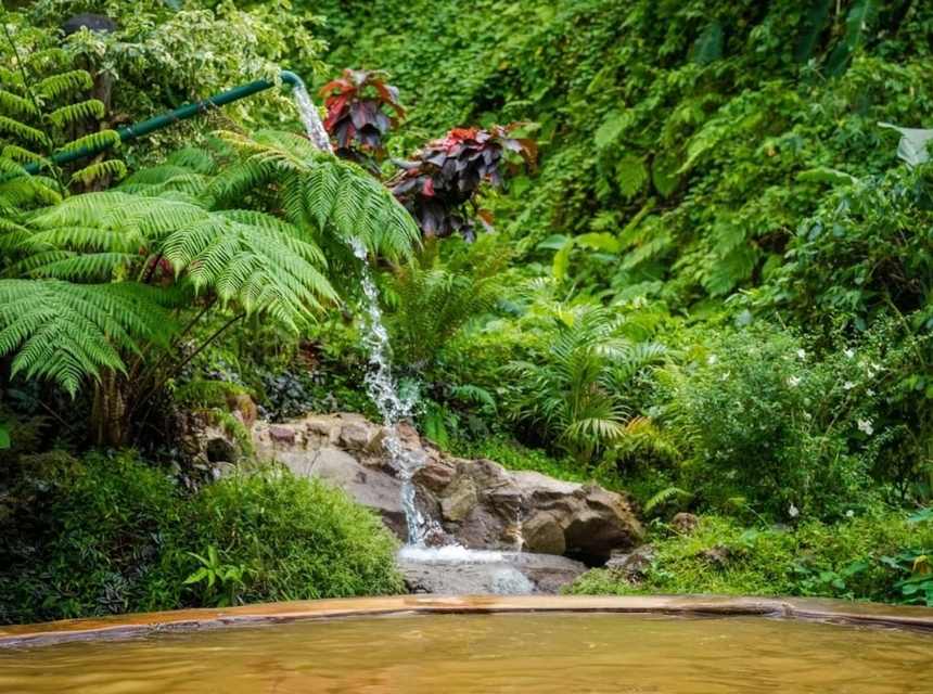 Die 20 besten Dominica Sehenswürdigkeiten: Dein ultimativer Guide für die Naturinsel 10 Dominica 11