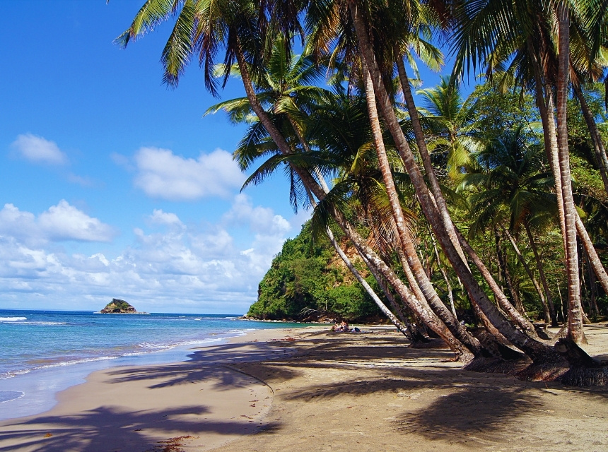 Die 20 besten Dominica Sehenswürdigkeiten: Dein ultimativer Guide für die Naturinsel 9 Dominica 14