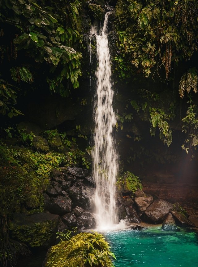 Die 20 besten Dominica Sehenswürdigkeiten: Dein ultimativer Guide für die Naturinsel 2 Dominica 2