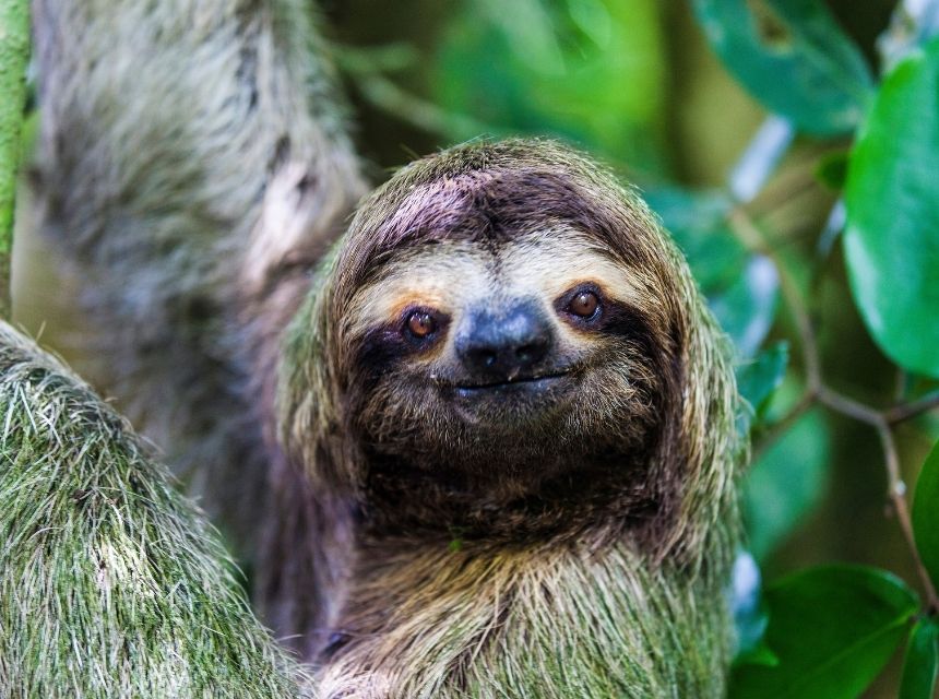 Warum Kreuzfahrten durch Zentralamerika im Trend liegen 3 2