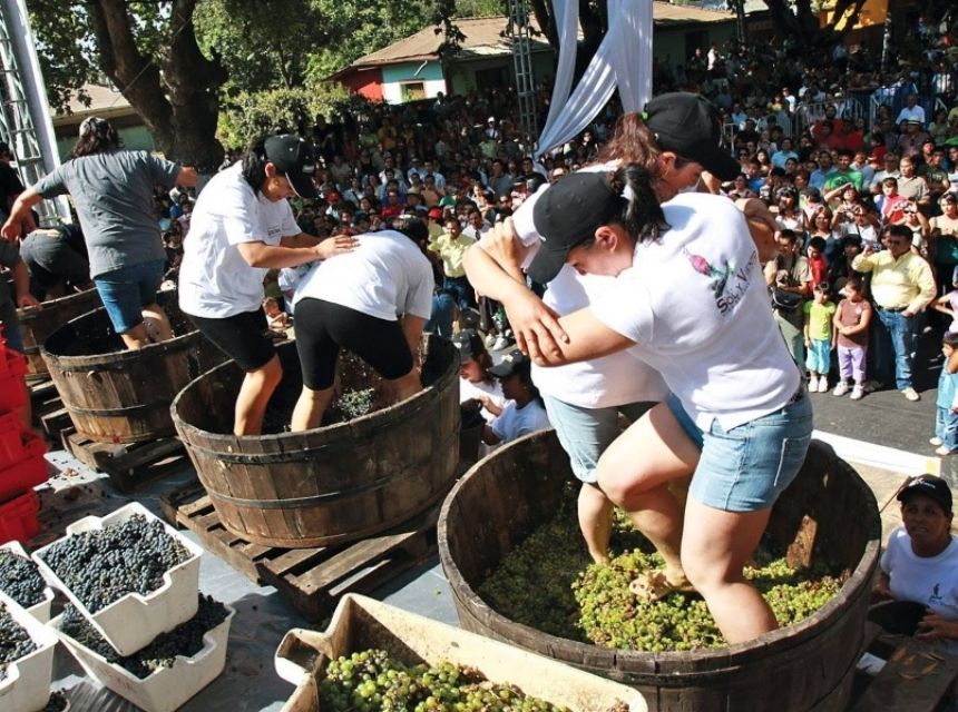 Chile Weinregionen: Der ultimative Guide 6 Wein Chile Fest