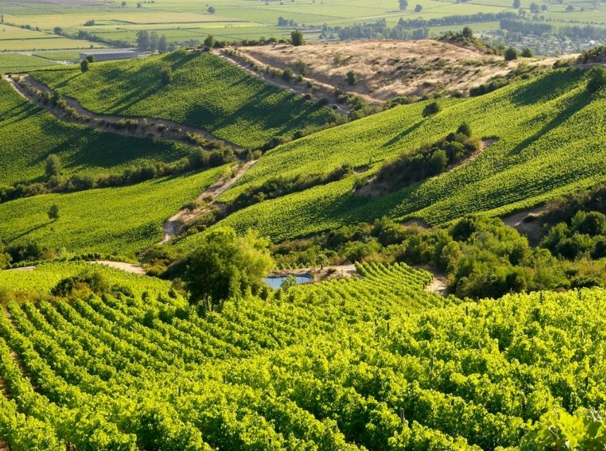 Chile Weinregionen: Der ultimative Guide 5 Wein Chile Montes