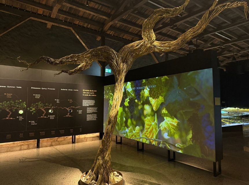 Chile Weinregionen: Der ultimative Guide 4 Wein Chile