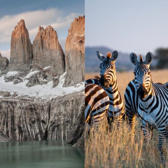 Design ohne Titel 2 1