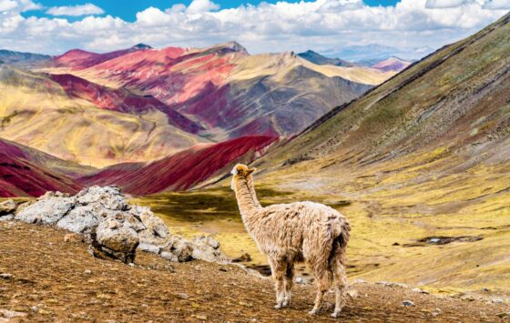 Rainbow mountain 1450 x 920 px