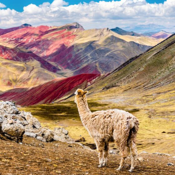 Rainbow mountain 1450 x 920 px