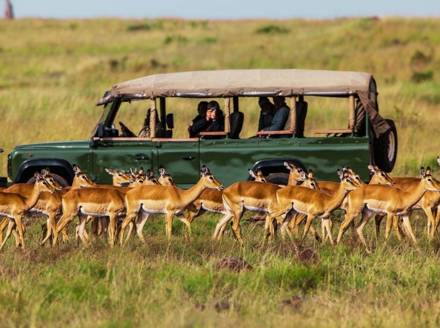 Südamerika oder Afrika: Wo wartet das größere Abenteuer? 4 Tansania2